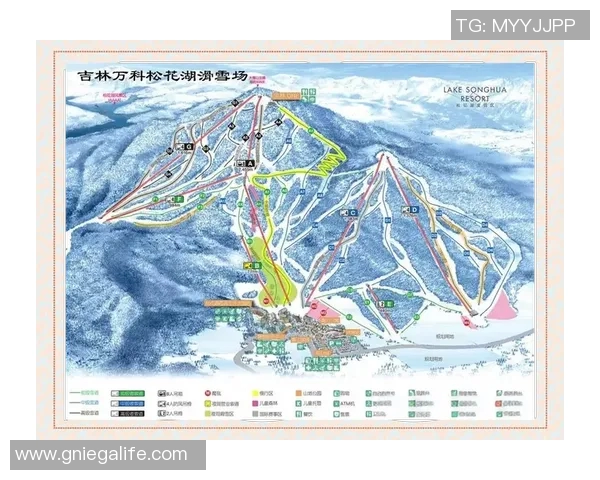 冰雪勇士武大靖再创佳绩全力迎接未来挑战与机遇