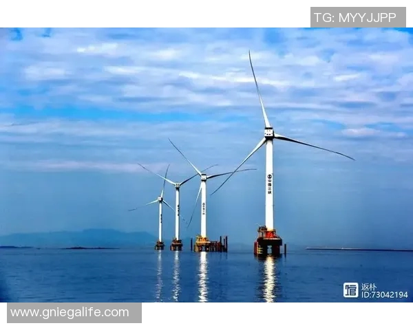 体育馆场地气候调节策略应对四季气候变化的有效方法与实践